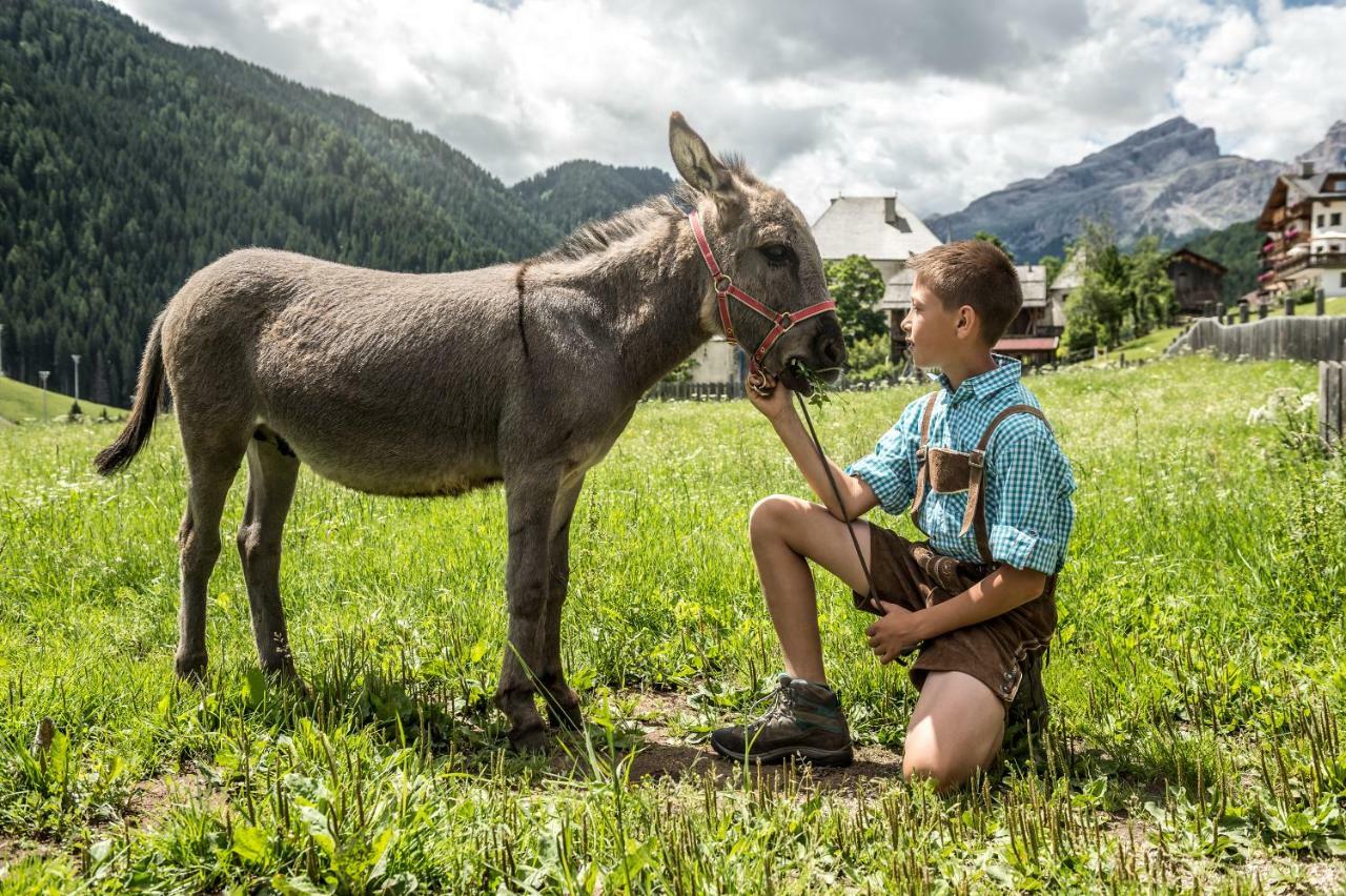 Natur Luch Sossach ラ・ヴィッラ エクステリア 写真