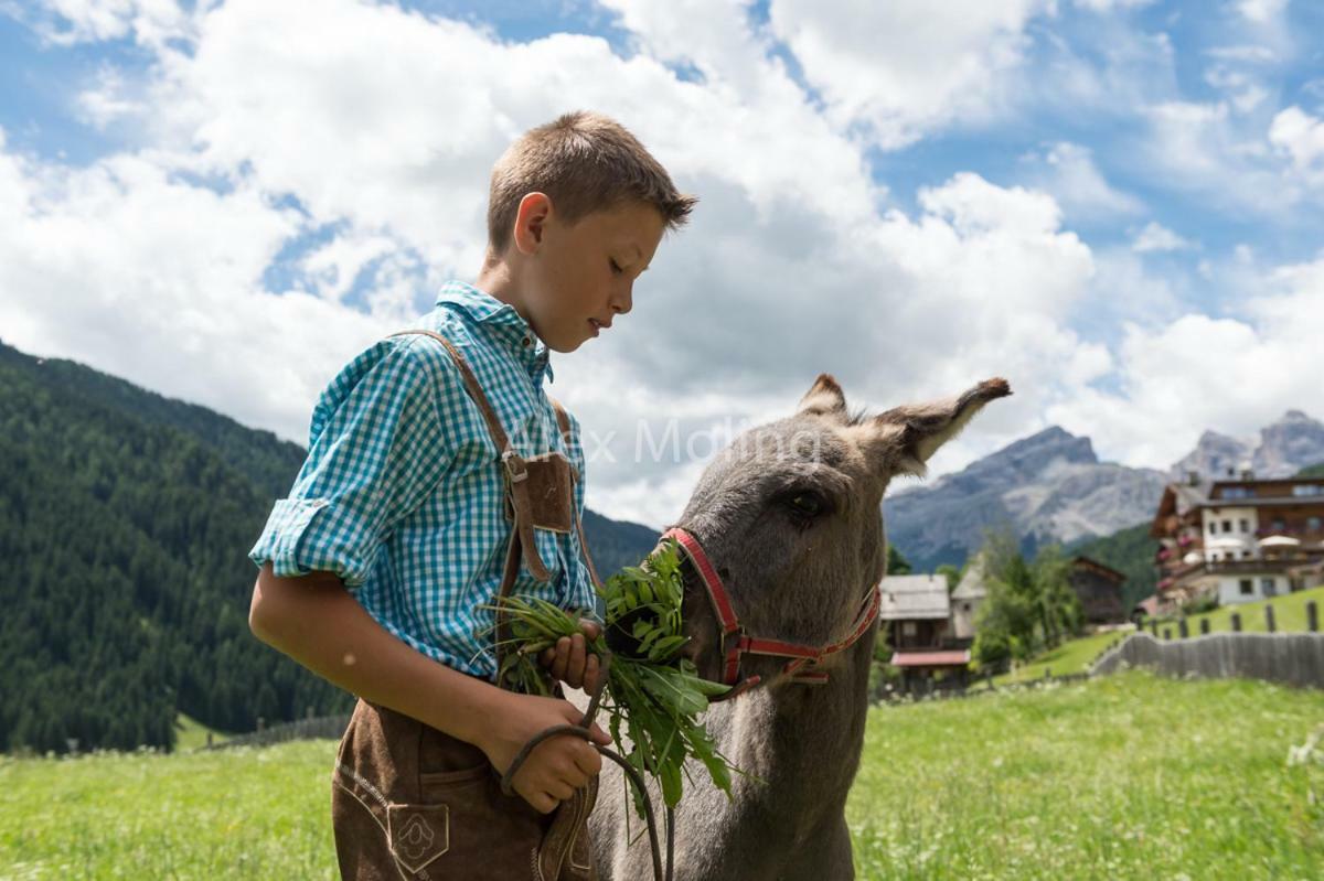 Natur Luch Sossach ラ・ヴィッラ エクステリア 写真
